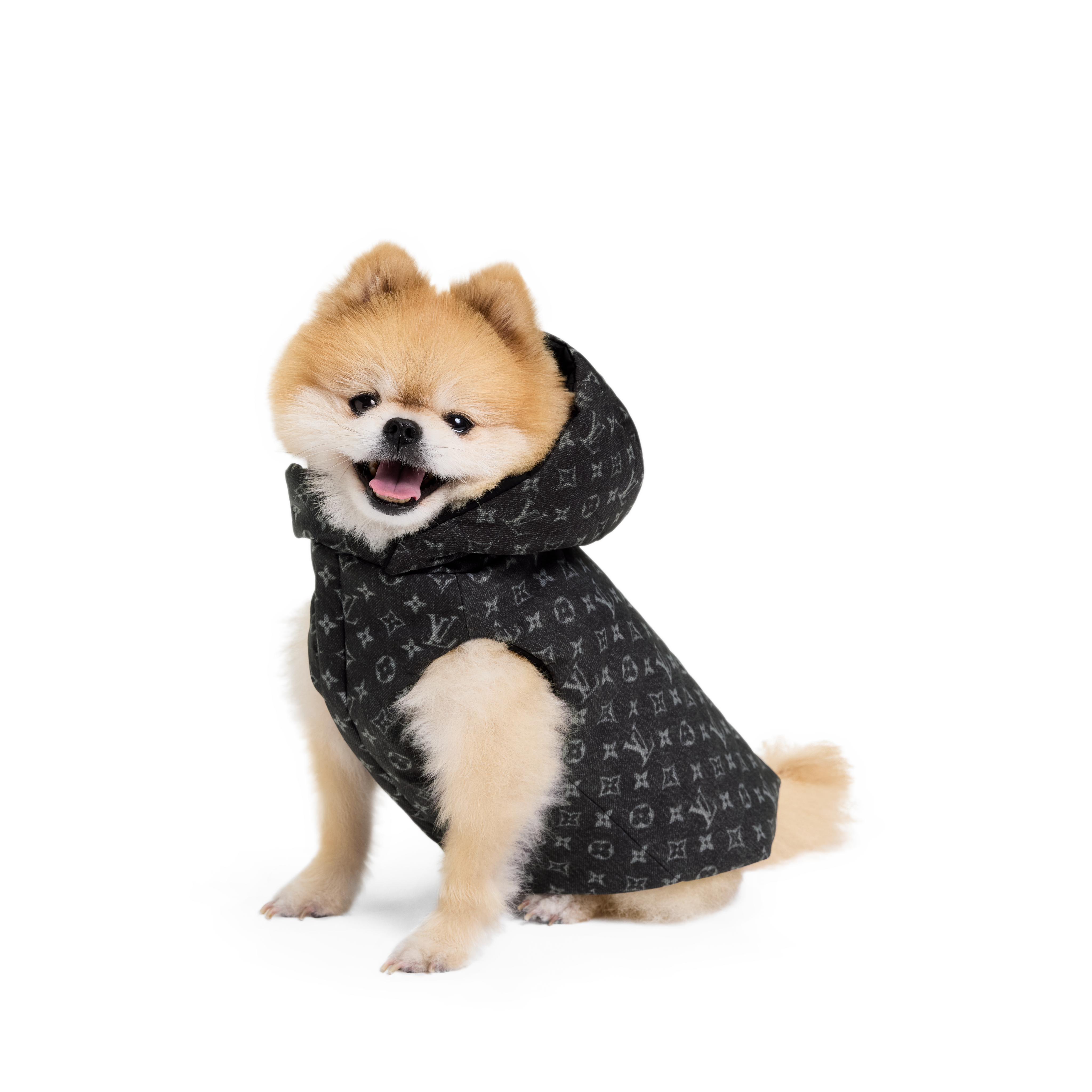 Dog Puffer Jacket XS . - Pets Accessories | LOUIS VUITTON